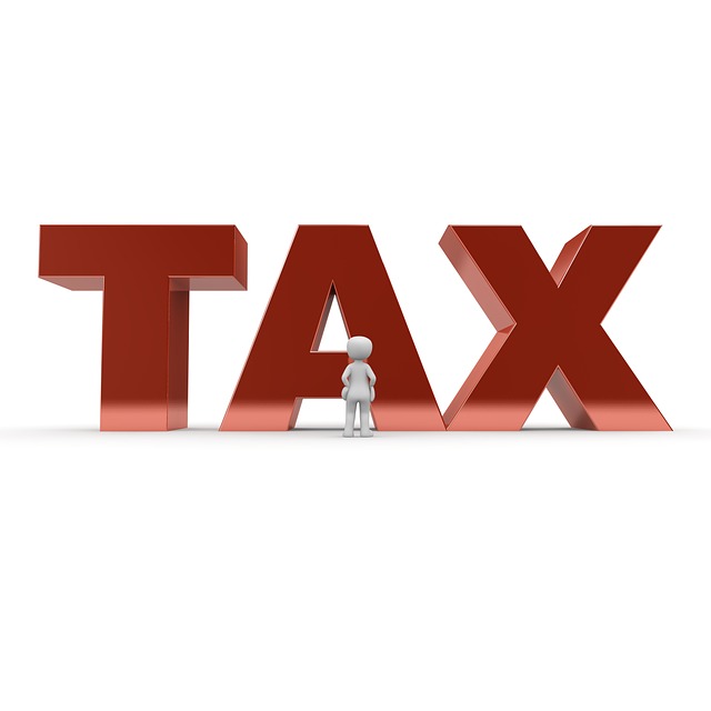 Tax Preparation and Electronic Tax Preparation Options